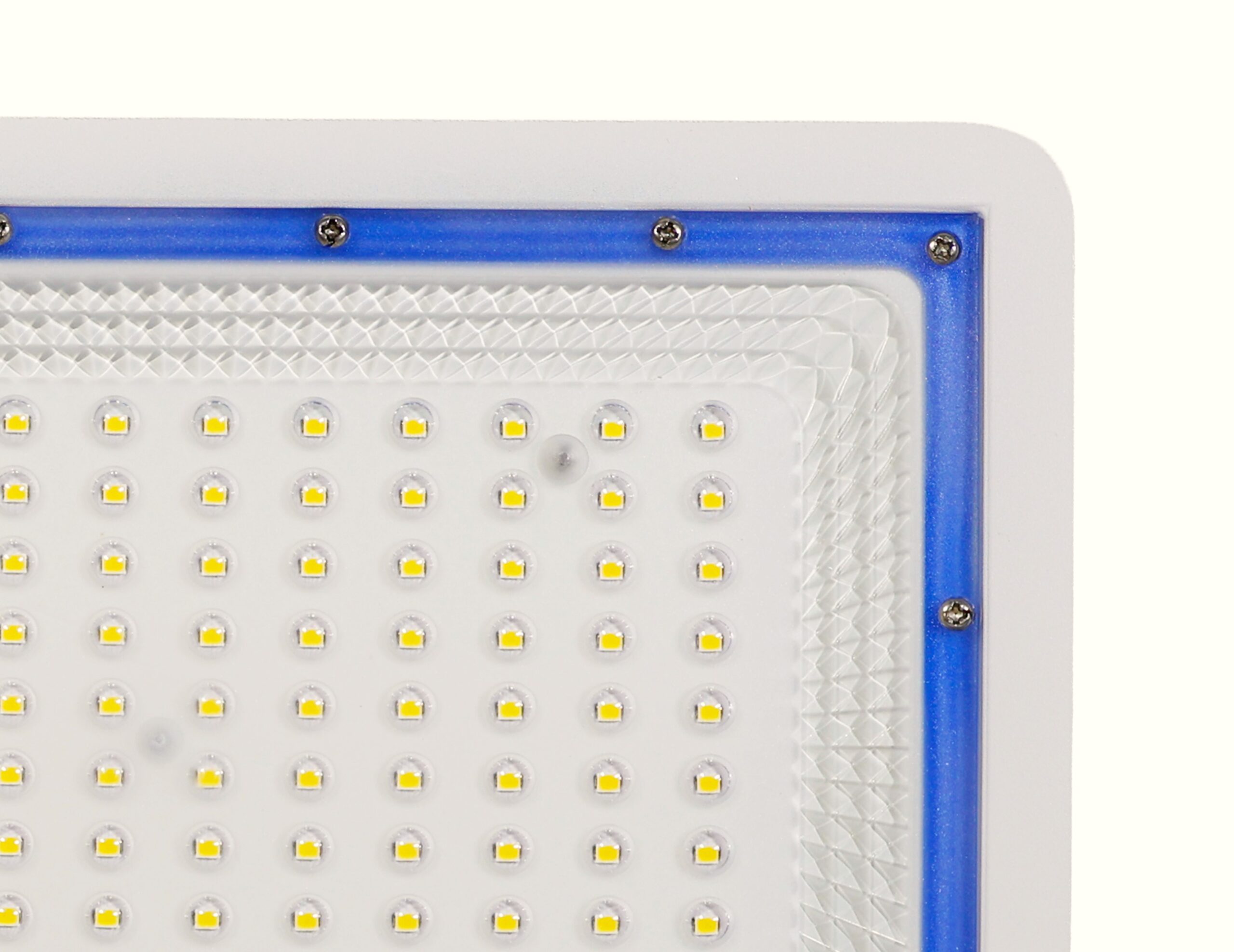 REALBUY 100W LED Flood Light with LENS (10000 Lumens, IP 66 Water-Proof)